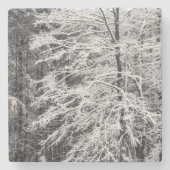 Mapelboom in sneeuw stenen onderzetter (Voorkant)