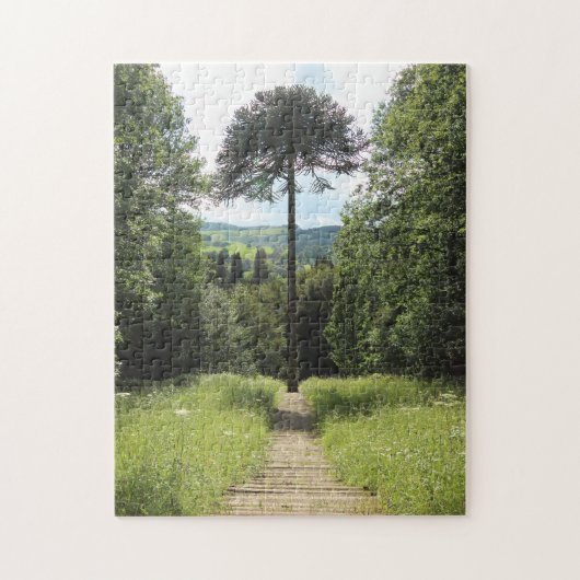 Mapenpuzzel Legpuzzel (Verticaal)