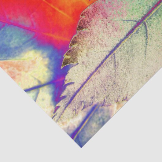 Maple Abstract Tissuepapier (Detail)