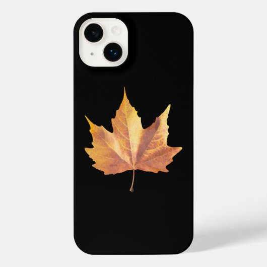 Maple autumn (Verso)