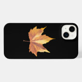 Maple autumn (Verso Horizontal)