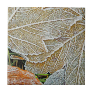 Maple Ceramic Tegel, bevroren Tegeltje