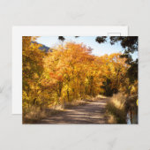 Maple Dell in het najaar Briefkaart (Voorkant / Achterkant)