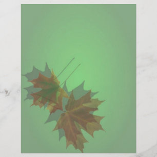 Maple-gelaatspamer Flyer