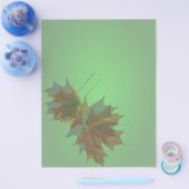 Maple-gelaatspamer Flyer (Enkel)