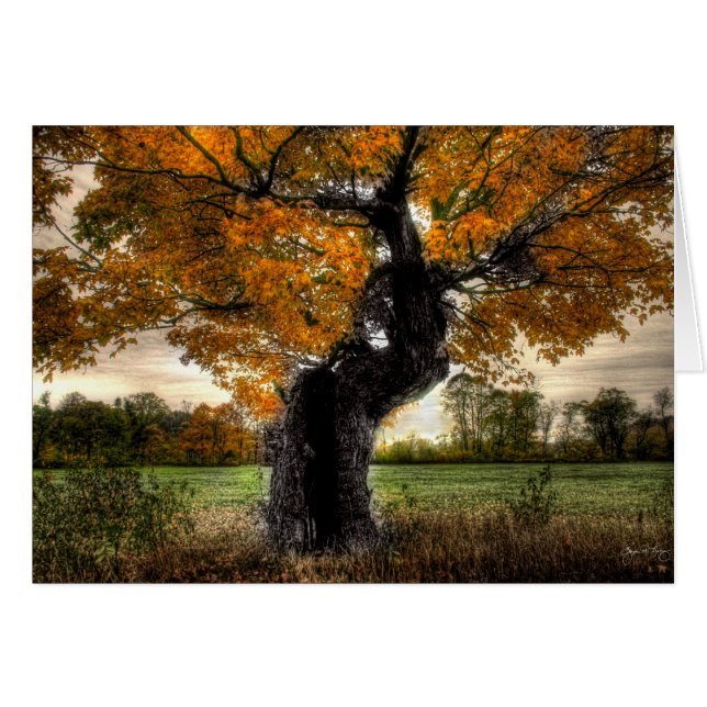 Maple Giant: kaarten (Voorkant Horizontaal)