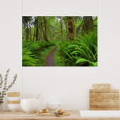 Maple Glade trail, veerboten en mos Poster (Keuken)