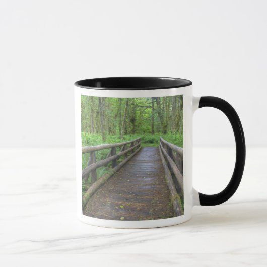 Maple Glade trail wood bridge, ferns and and Mok (Rechts)
