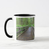 Maple Glade trail wood bridge, ferns and and Mok (Links)