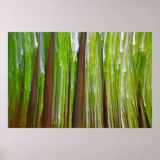 Maple Grove Abstract Poster (Voorkant)