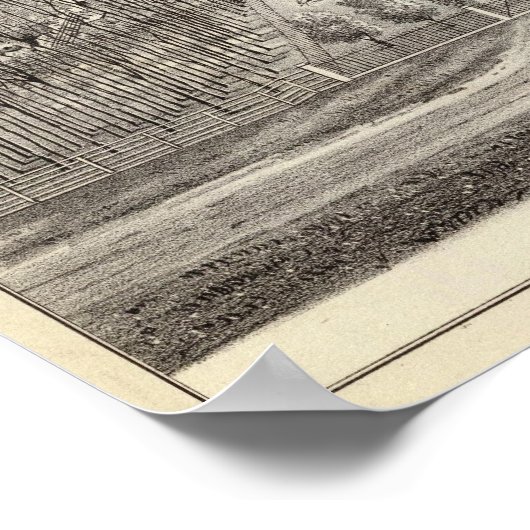 Maple Grove Poster (Hoek)