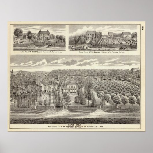 Maple Grove Poster (Voorkant)