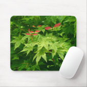 Maple in lente muismat (Met muis)