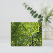 Maple in Summer Briefkaart (Staand voorkant)