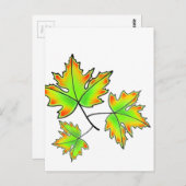 Maple Leaf Briefkaart (Voorkant / Achterkant)