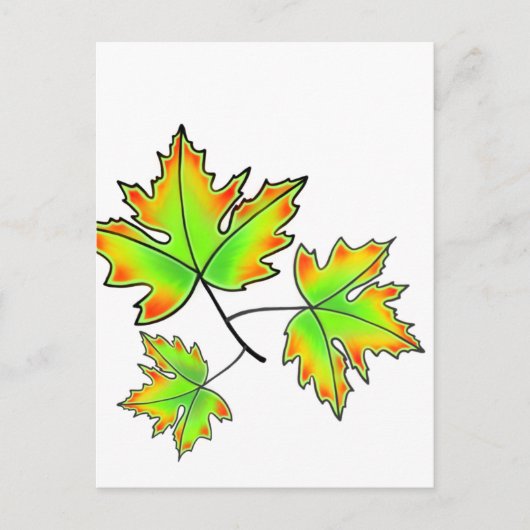 Maple Leaf Briefkaart (Voorkant)