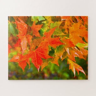 Maple Leaf Dance Legpuzzel