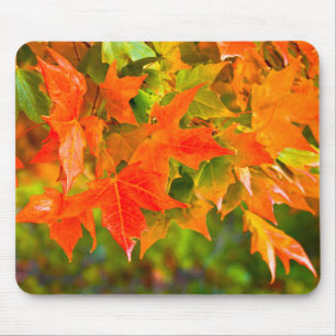 Maple Leaf Dance Muismat