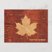Maple Leaf on Inner Birch Bark Briefkaart (Voorkant)