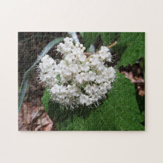 Maple Leaf Viburnum Legpuzzel