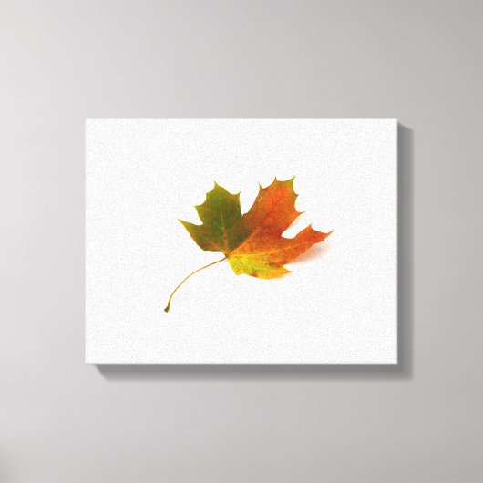 Maple Leaf Wrapped Canvas Afdruk (Voorkant)