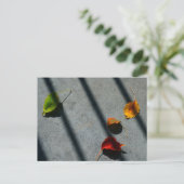 Maple Leaves Briefkaart (Staand voorkant)