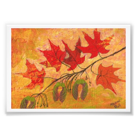 Maple Leaves Foto Afdruk (Voorkant)