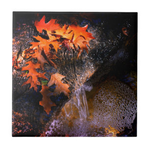 Maple Leaves Tegeltje