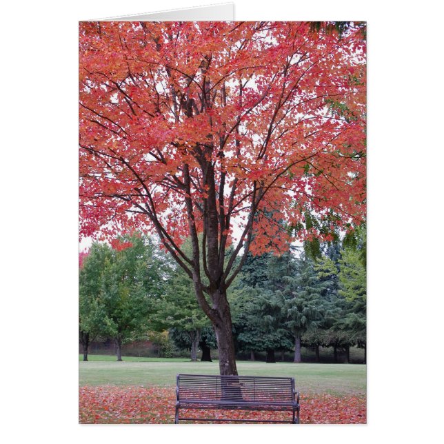 Maple met bankkaart (Voorkant)