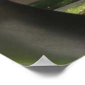 Maple Sculpture Poster (Hoek)