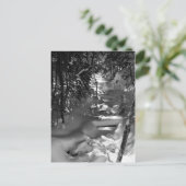 Maple Spring Briefkaart - 1 (Staand voorkant)