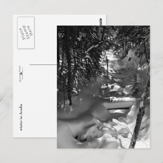 Maple Spring Briefkaart - 1 (Voorkant / Achterkant)