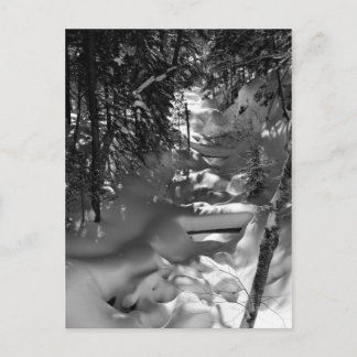 Maple Spring Briefkaart - 1