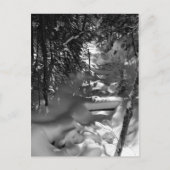 Maple Spring Briefkaart - 1 (Voorkant)