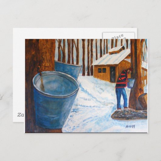 Maple Sugar Bush Briefkaart (Voorkant / Achterkant)