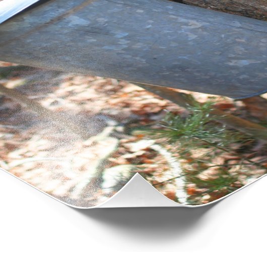 Maple Syrup Sugar Sap Bucket on Tree 8x8 Foto Afdruk (Hoek)