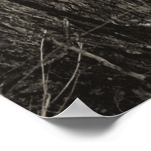 Maple Syrup Time Poster (Hoek)