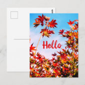 Maple ( tekst) briefkaart (Voorkant / Achterkant)