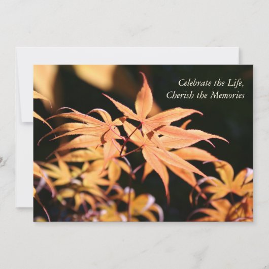 Maple Tree 1 Celebration of Life Memorial Service Kaart (Voorkant)