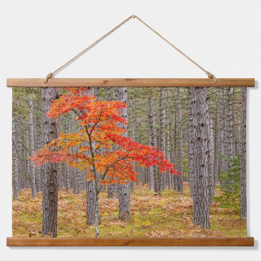 Maple Tree met najaarkleuren Hangend Wandkleed (Voorkant)