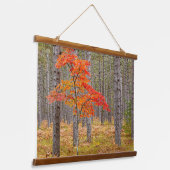 Maple Tree met najaarkleuren Hangend Wandkleed (Gebogen)