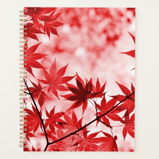 Maple Trees Design Feuille (Devant)
