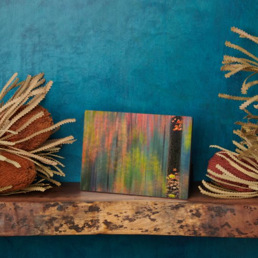 Maple Trees | State Park Silver Herfsten Fotoplaat (Zijkant)