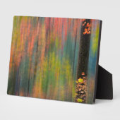 Maple Trees | State Park Silver Herfsten Fotoplaat (Zijkant)