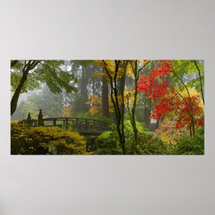 Maple Trees vallen kleuren af in het Japanse Poste Poster