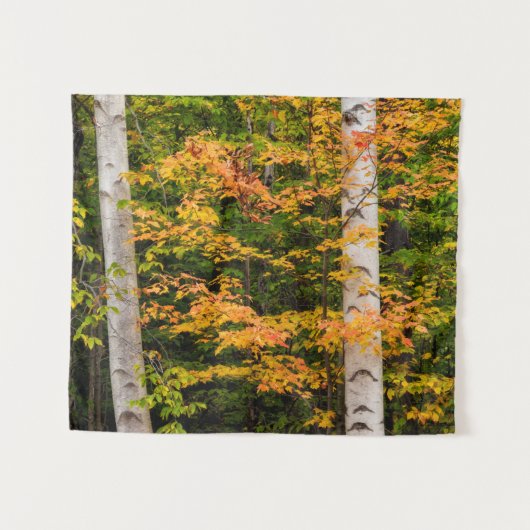 Maple & White Birch | Witte bergen, NH Wandkleed (Voorkant (horizontaal))