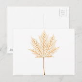 Mapleafskelet Briefkaart (Voorkant / Achterkant)