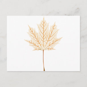 Mapleafskelet Briefkaart