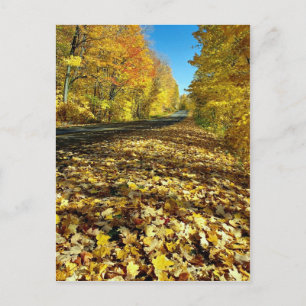 Maplebladeren en Fortune Parkway, Gatineau Park, Q Briefkaart