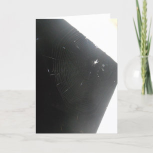 "Maplewood Spider" Get Well Card Kaart